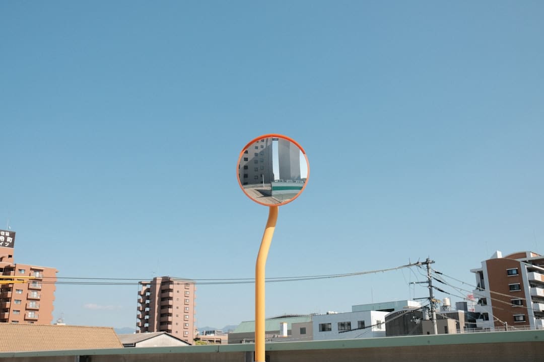 鸟为什么会有气味